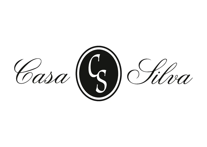 casa silva png